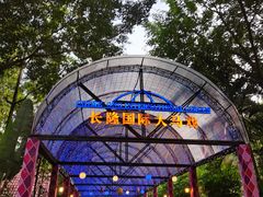 -广州长隆国际大马戏