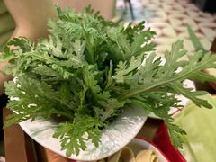 茼蒿-洪氏嗨捞·广东猪肚鸡·椰子鸡火锅(西咸万象城店)
