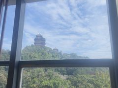 -七欣天香辣蟹火锅(南京建宁路大观天地店)