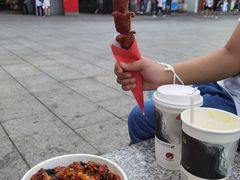 大肉肠-黑色经典臭豆腐·湖南特产(坡子街店)