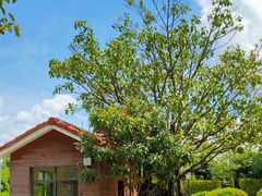 -嘉和K6温泉微度假