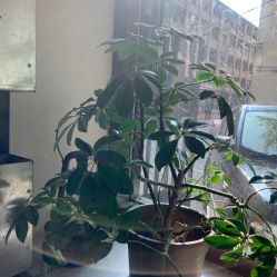 -M+hair salon专业造型沙龙
