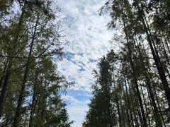 -上海野生动物园