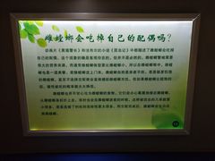 -上海昆虫博物馆