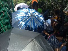 -梦幻奥陶纪景区