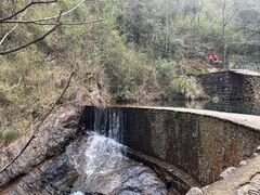 -大奇山国家森林公园