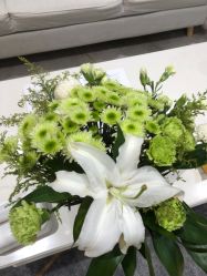 -HEYAN长风荷妍专业脱毛美肤
