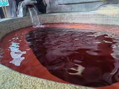 -中家鑫园温泉酒店鑫悦汤泉