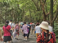 -东湖落雁景区