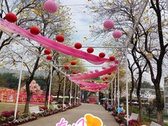 -盈香心动乐园