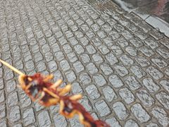 -王姐烧烤(中山路店)