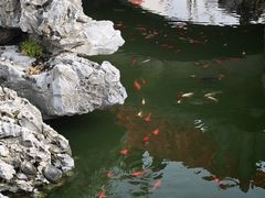 -海宁市观音寺