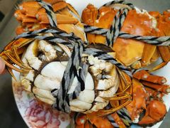 -乡乐园蟹庄·阳澄湖农家乐