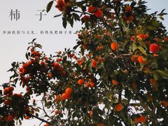 -青州市云门山风景区