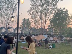 -栖露营camping·天幕烧烤·团建拓展·采摘营地