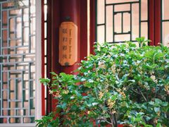 -颐和园