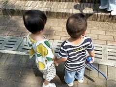 -金山植物公园