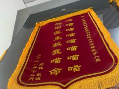 -中农国际动物医院24小时·猫科·骨科·急重症中心