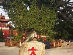 -大槐树寻根祭祖园