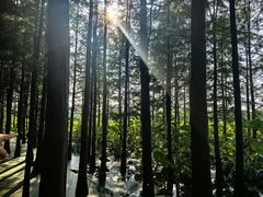 -云龙湖旅游景区