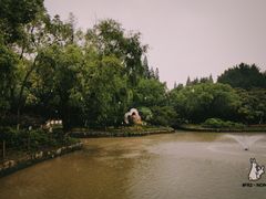 -瀛洲公园