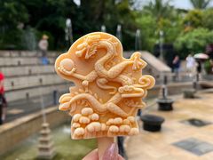 -亚龙湾热带天堂森林公园