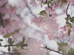 -贵阳市花溪国家城市湿地公园