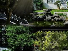 -深圳国际园林花卉博览园