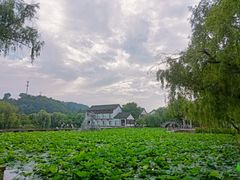 -鲁镇