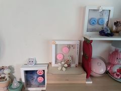 -翡翠森林宠物火化殡葬(通州店)