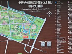 -上海长兴岛郊野公园