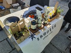 -辛庄国际文化艺术区