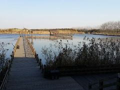 android_upload_pic-溱湖国家湿地公园