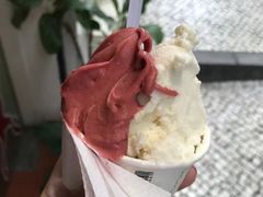 -柠檬车露(卖草地店)