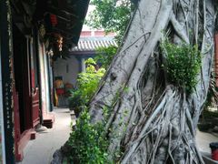 -叩齿古寺