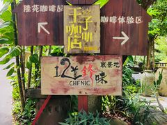 -兴隆隆苑咖啡庄园