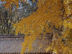 -潭柘寺景区
