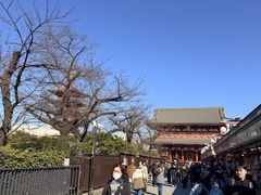 -浅草寺