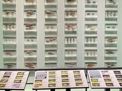 -浙江自然博物院(杭州馆)