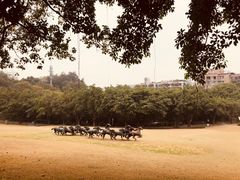 -广州雕塑公园