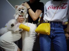 -零几体验diy皮具工作室(振业城店)