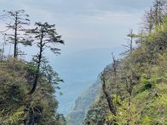 -峨眉山风景名胜区