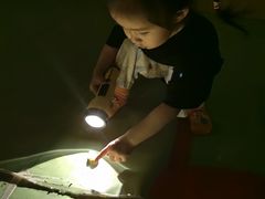 -金宝贝早教(济南欧亚大观商场中心)