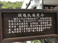 -瑞穗牧场