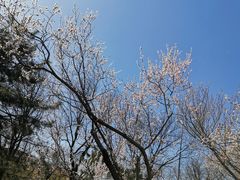 -食悦江南·淮扬菜·烤鸭(亚运村·惠新店)