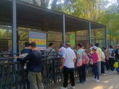 -长白岛森林公园