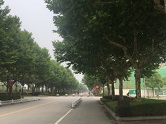 -东华大学(松江校区)