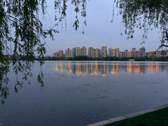 -金鸡湖景区