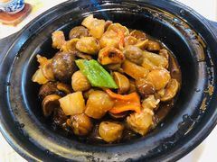 -万圣禄茶楼(西平店)