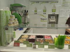 -Salud撒露欧洲冻酸奶(蓝色港湾店)